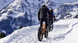 rower górski czy trekkingowy